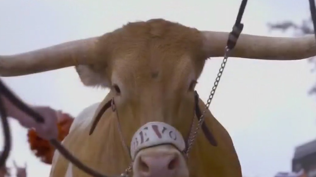 Texas Longhorns kick off football season